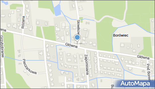 Allegro One Box Automaty, Słowikowa 1, Borówiec 62-023, godziny otwarcia