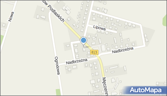 Allegro One Box Automaty, Męczenników Podlaskich 39, Drelów 21-570, godziny otwarcia