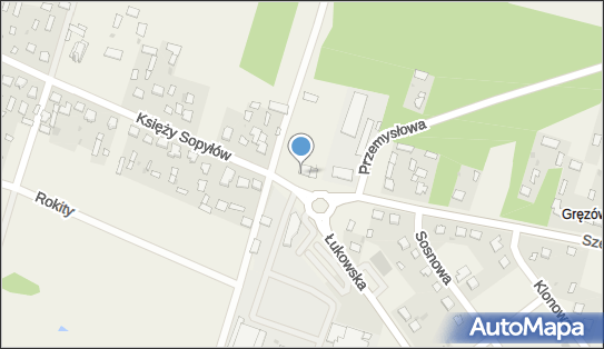 Allegro One Box Automaty, Tadeusza Szenejki 1, Gręzówka 21-400, godziny otwarcia