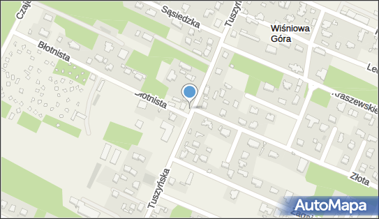 Allegro One Box Automaty, Tuszyńska 95, Wiśniowa Góra 95-020, godziny otwarcia