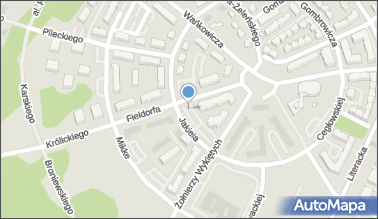 Allegro One Box Automaty, Fieldorfa 1, Poznań 60-461, godziny otwarcia