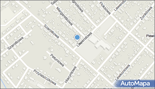 Allegro One Box Automaty, Lawendowa 52, Poznań 60-175, godziny otwarcia