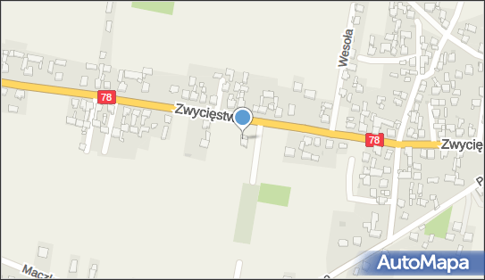 Allegro One Box Automaty, Zwycięstwa 55b, Tąpkowice 42-624, godziny otwarcia