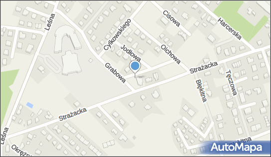 Allegro One Box Automaty, Strażacka 42A, Bolszewo 84-239, godziny otwarcia