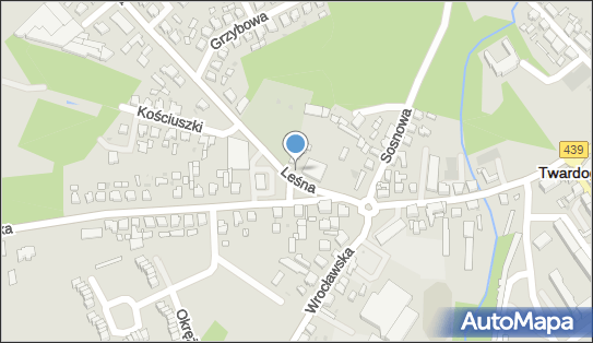 Allegro One Box Automaty, Leśna 1b, Twardogóra 56-416, godziny otwarcia