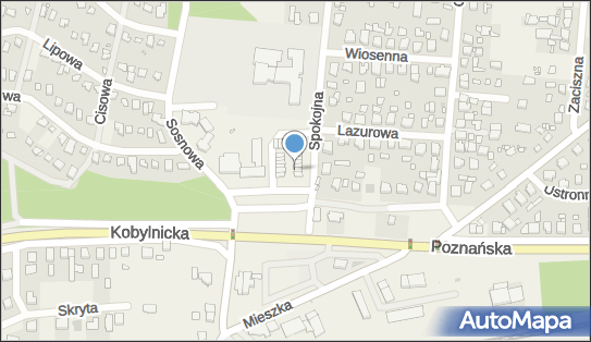 Allegro One Box Automaty, Plac Piastowski 25, Jerzykowo 62-007, godziny otwarcia