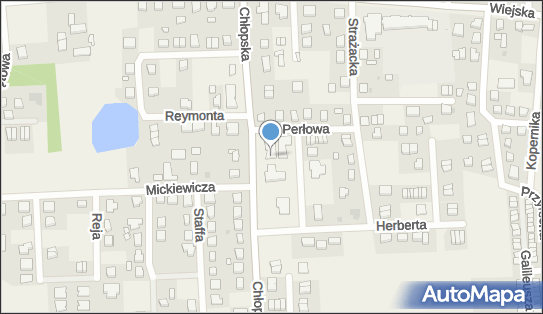 Allegro One Box Automaty, Perłowa 2, Kębłowo 84-242, godziny otwarcia