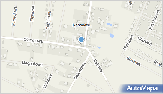 Allegro One Box Automaty, Olszynowa 2, Rabowice 62-020, godziny otwarcia