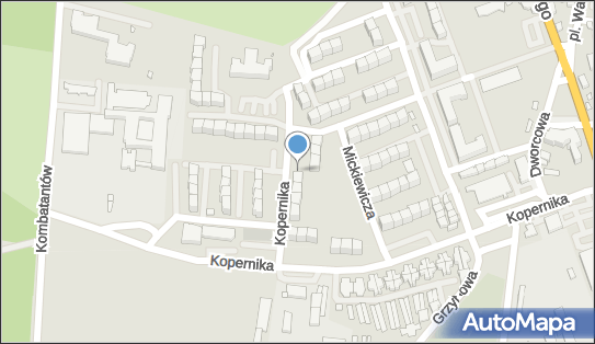 Allegro One Box Automaty, Kopernika 6, Milicz 56-300, godziny otwarcia