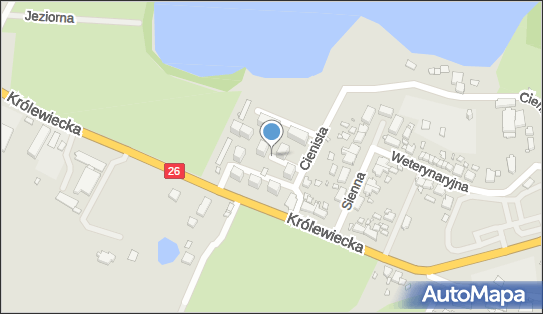 Allegro One Box Automaty, Osiedle XX-lecia 5, Myślibórz 74-300, godziny otwarcia