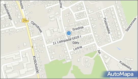 Allegro One Box Automaty, 11 Listopada 1918 r. 17, Radziejów 88-200, godziny otwarcia