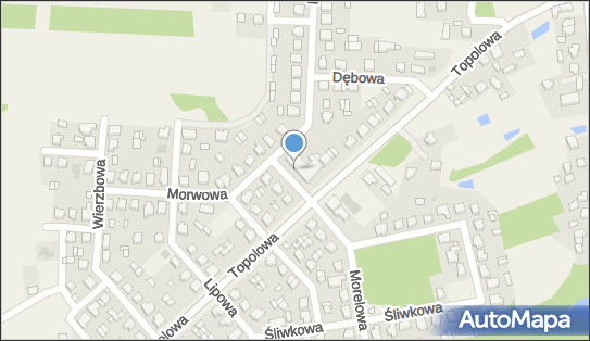 Allegro One Box Automaty, Topolowa 16a, Stare Miasto 62-571, godziny otwarcia