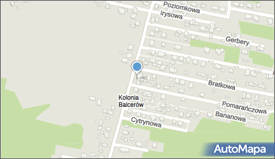 Allegro One Box Automaty, Zadębie 77, Skierniewice 96-100, godziny otwarcia