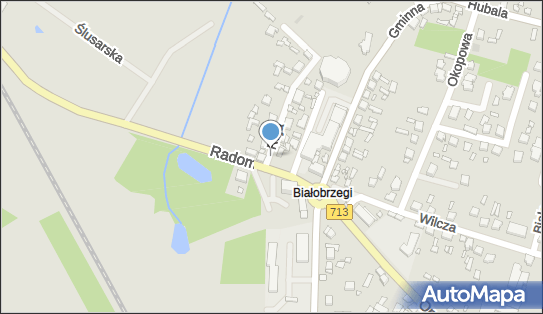 Allegro One Box Automaty, Mikołaja Reja 4, Tomaszów Mazowiecki 97-200, godziny otwarcia