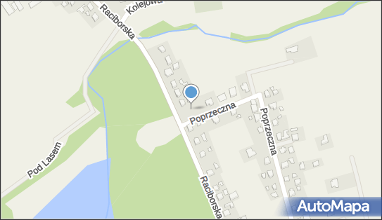 Allegro One Box Automaty, Raciborska 116, Gorzyce 44-350, godziny otwarcia