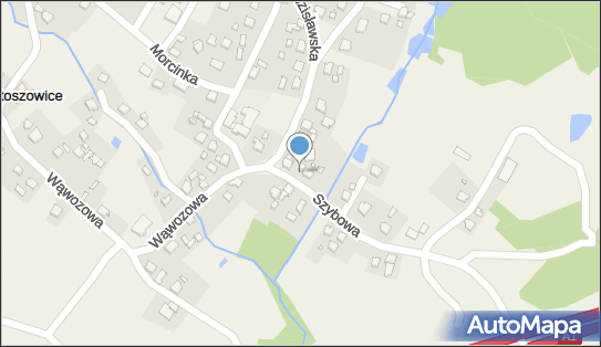 Allegro One Box Automaty, Szybowa 30, Krostoszowice 44-348, godziny otwarcia