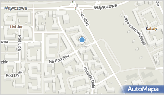 Allegro One Box, zielony automat, Na Przyzbie/Kabacki Dukt 12 02-798, godziny otwarcia