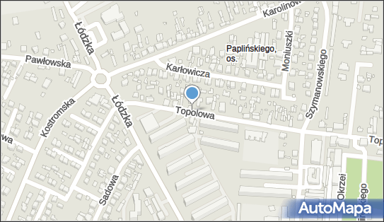 Allegro One Box, zielony automat, Topolowa 22, Piotrków Trybunalski 97-300, godziny otwarcia