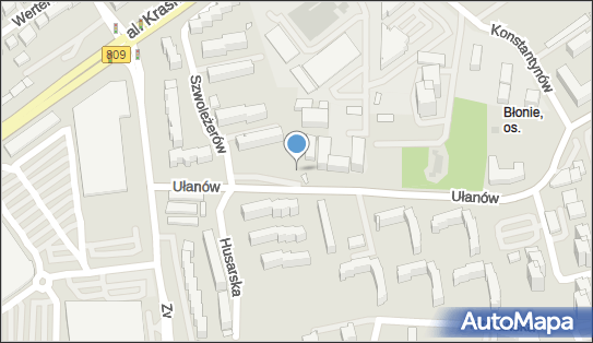 Allegro One Box, zielony automat, Szwoleżerów 1, Lublin 20-555, godziny otwarcia