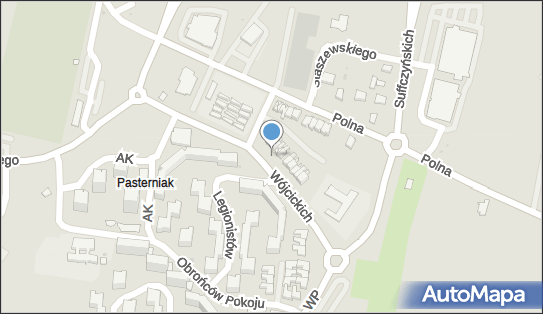 Allegro One Box, zielony automat, Braci Wójcickich 9, Łęczna 21-010, godziny otwarcia