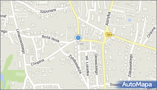 Allegro One Box, zielony automat, Górnicza 15, Wieliczka 32-020, godziny otwarcia