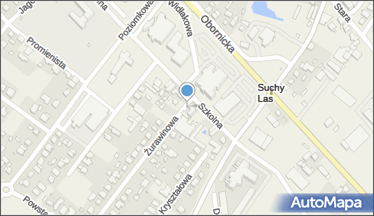 Allegro One Box, zielony automat, Szkolna 3a, Suchy Las 62-002, godziny otwarcia