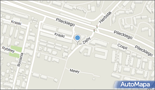 Allegro One Box, zielony automat, Zięby 41, Warszawa 02-808, godziny otwarcia