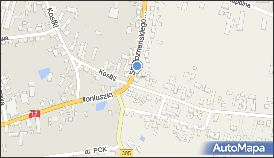 Allegro One Punkt, Furgonetka, Przyczyna Dolna 13, Wschowa 67-400, godziny otwarcia