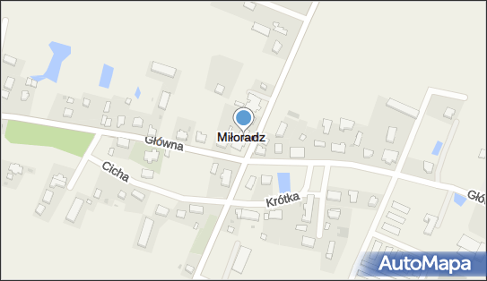 Allegro One Punkt, Furgonetka, Żuławska 14, Miłoradz 82-213, godziny otwarcia