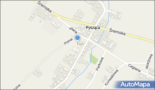 Allegro One Punkty, Długa 6, Pysząca 63-100, godziny otwarcia