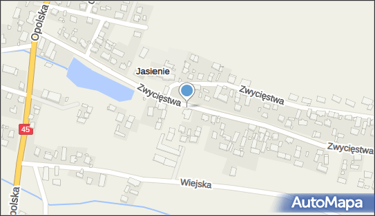 Allegro One Punkty, Zwycięstwa 19, Jasienie 46-280, godziny otwarcia