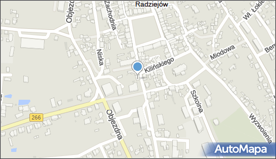 Allegro One Punkty, Kościuszki 12, Radziejów 88-200, godziny otwarcia