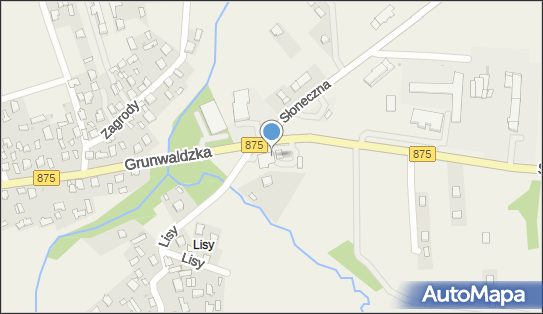 Allegro One Punkty, Lisy 1A, Raniżów 36-130, godziny otwarcia