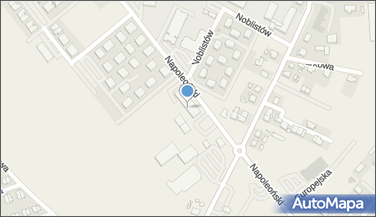 Allegro One Punkty, Trakt Napoleoński 11, Rokietnica 62-090, godziny otwarcia