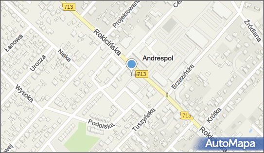 Allegro One Box, zielony automat, Rokicińska 130, Andrespol 95-020, godziny otwarcia