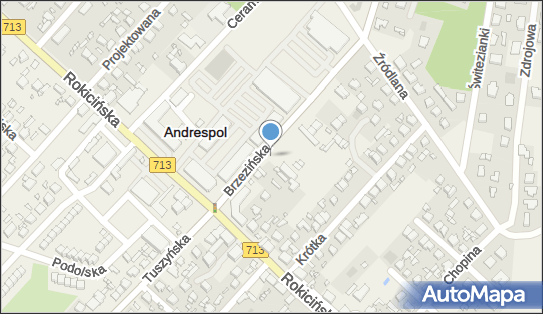 Allegro One Box, zielony automat, Brzezińska 5a, Andrespol 95-020, godziny otwarcia