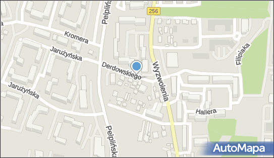 Allegro One Box, zielony automat, Hieronima Derdowskiego 3 85-795, godziny otwarcia