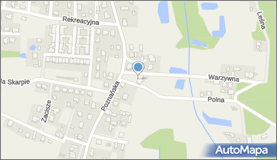 Allegro One Punkt, Furgonetka, Polna 1, Borówiec 62-023, godziny otwarcia