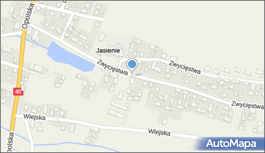 Allegro One Punkt, Zwycięstwa 19, Jasienie 46-280, godziny otwarcia