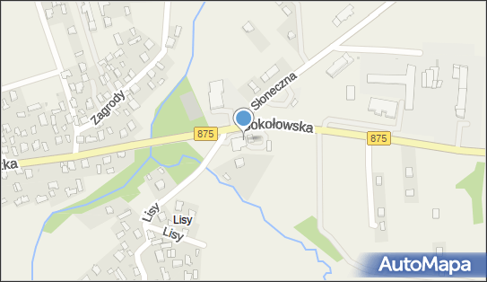 Allegro One Punkt, Lisy 1A, Raniżów 36-130, godziny otwarcia