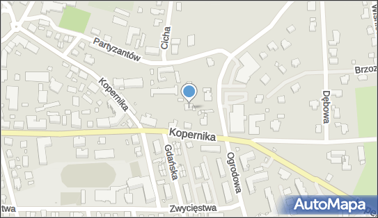 Apteka Przy Szpitalu Anahit, Ul. Kopernika 24A, Pasłęk 14-400, godziny otwarcia, numer telefonu