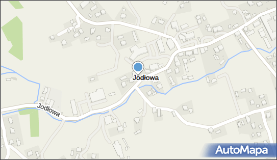 Apteka W Jodłowej, 29, Jodłowa 39-225, godziny otwarcia, numer telefonu