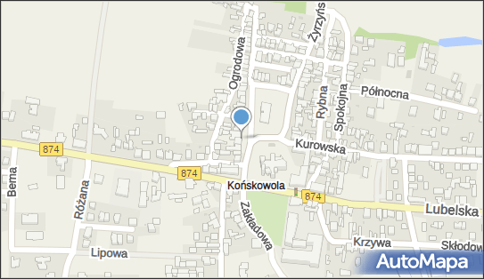 Apteka, Ul. Rynek 4, Końskowola 24-130, godziny otwarcia, numer telefonu, NIP: 7161157609
