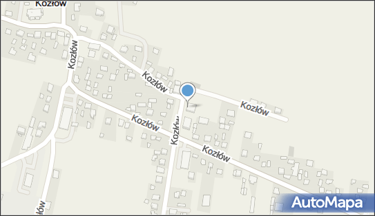 Apteka, 63, Kozłów 32-241, godziny otwarcia, numer telefonu