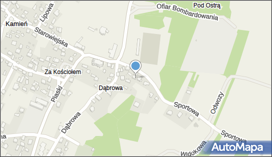 Apteka, 384, Kamień 32-071, godziny otwarcia, numer telefonu