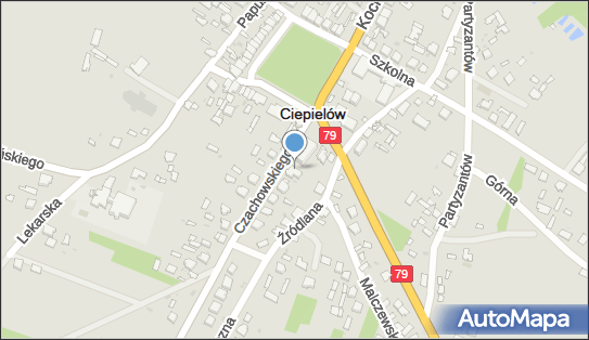 Apteka, Ul. Czachowskiego 3, Ciepielów 27-310, godziny otwarcia, numer telefonu