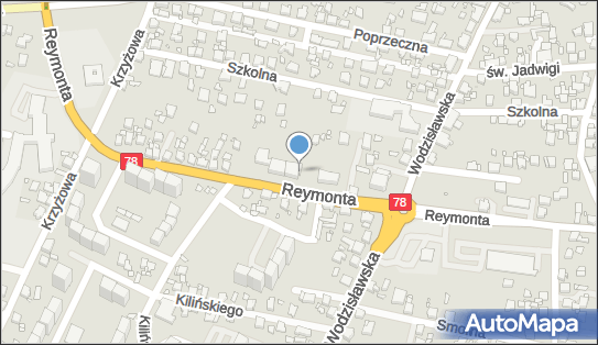 Apteka, Ul. Władysława Stanisława Reymonta 60, Rybnik 44-200, godziny otwarcia, numer telefonu, NIP: 6420411434