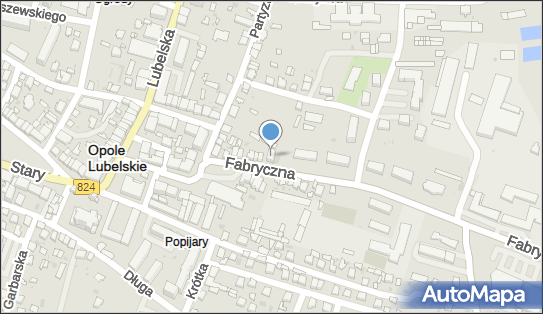 Apteka, Ul. Fabryczna 13, Opole Lubelskie 24-300, godziny otwarcia, numer telefonu, NIP: 7171728373
