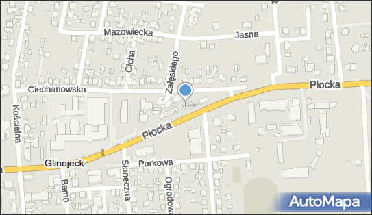Arnica, Ul. Płocka 13I, Glinojeck 06-450, godziny otwarcia, numer telefonu