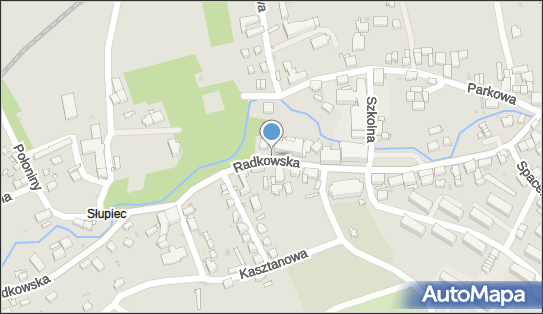 Aspirynka, Ul. Radkowska 22, Nowa Ruda 57-402, godziny otwarcia, numer telefonu, NIP: 8851021710